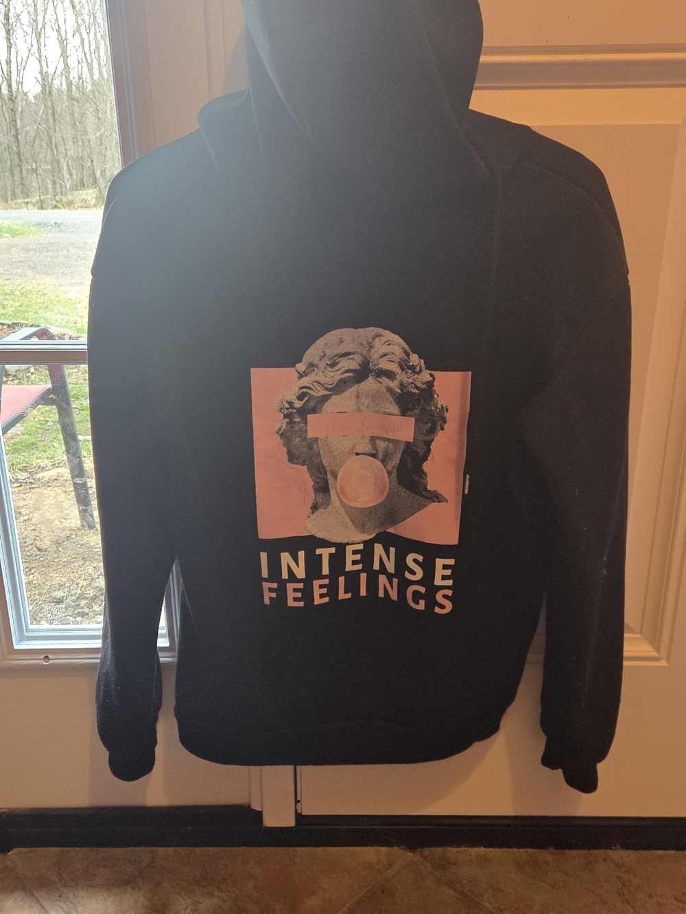 ✨️ SHEIN 'Intense Feelings' Graphic Hoodie Sweatshirt SIZE Small ✨️